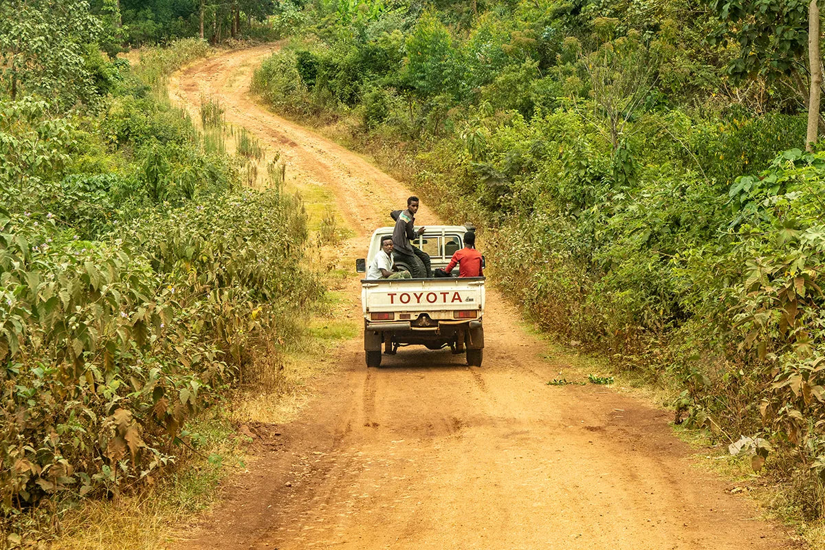 The Oromo People of Ethiopia and Their Connection to Coffee
