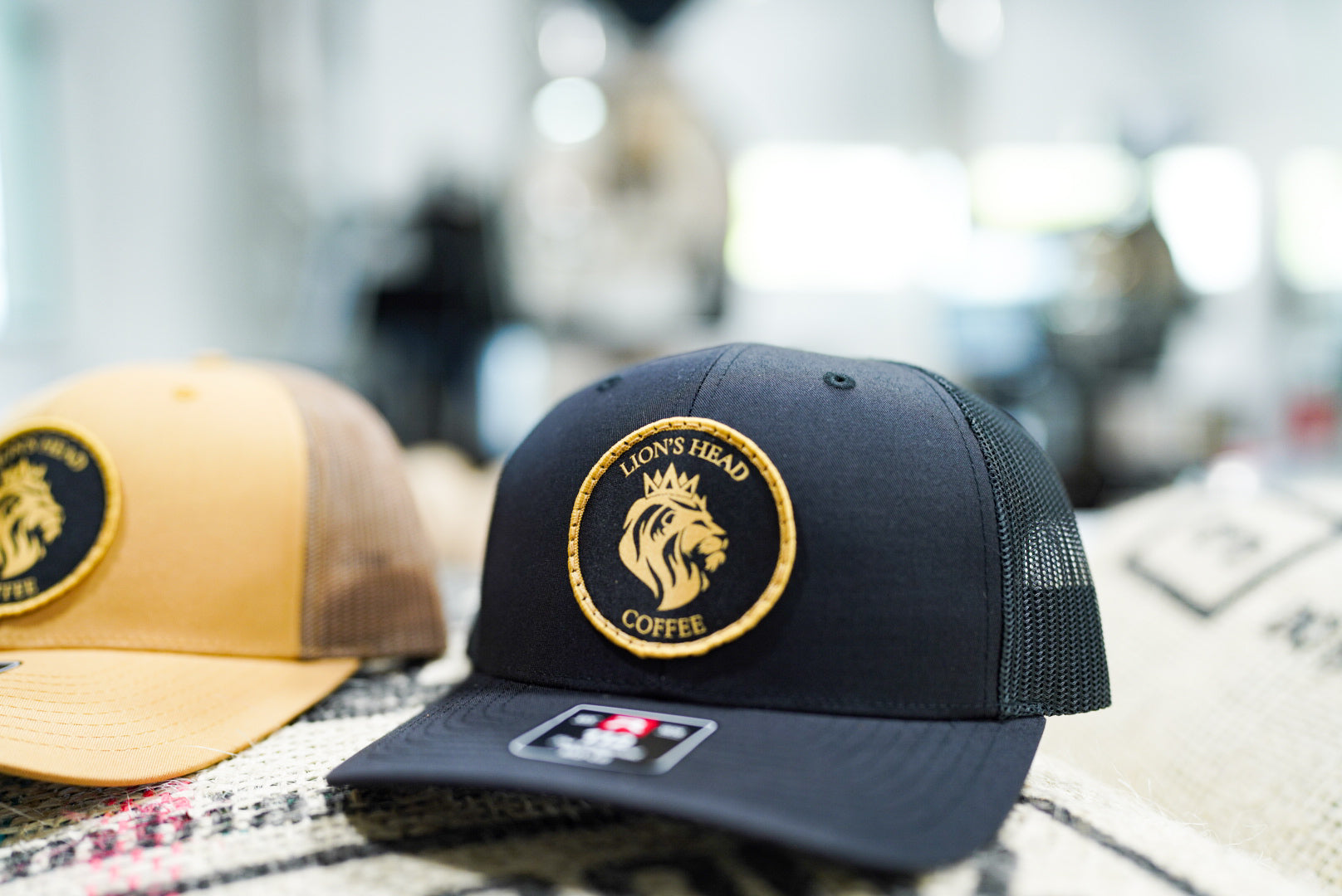 Lion's Head Logo - Curved 112 Hat - BLACK