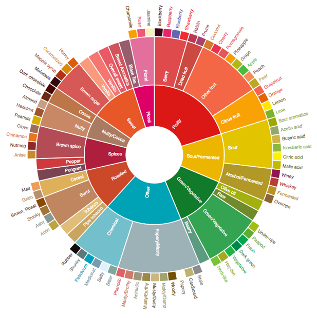 The Coffee Tasting Wheel: A Guide to Flavor Exploration – Lion's Head ...