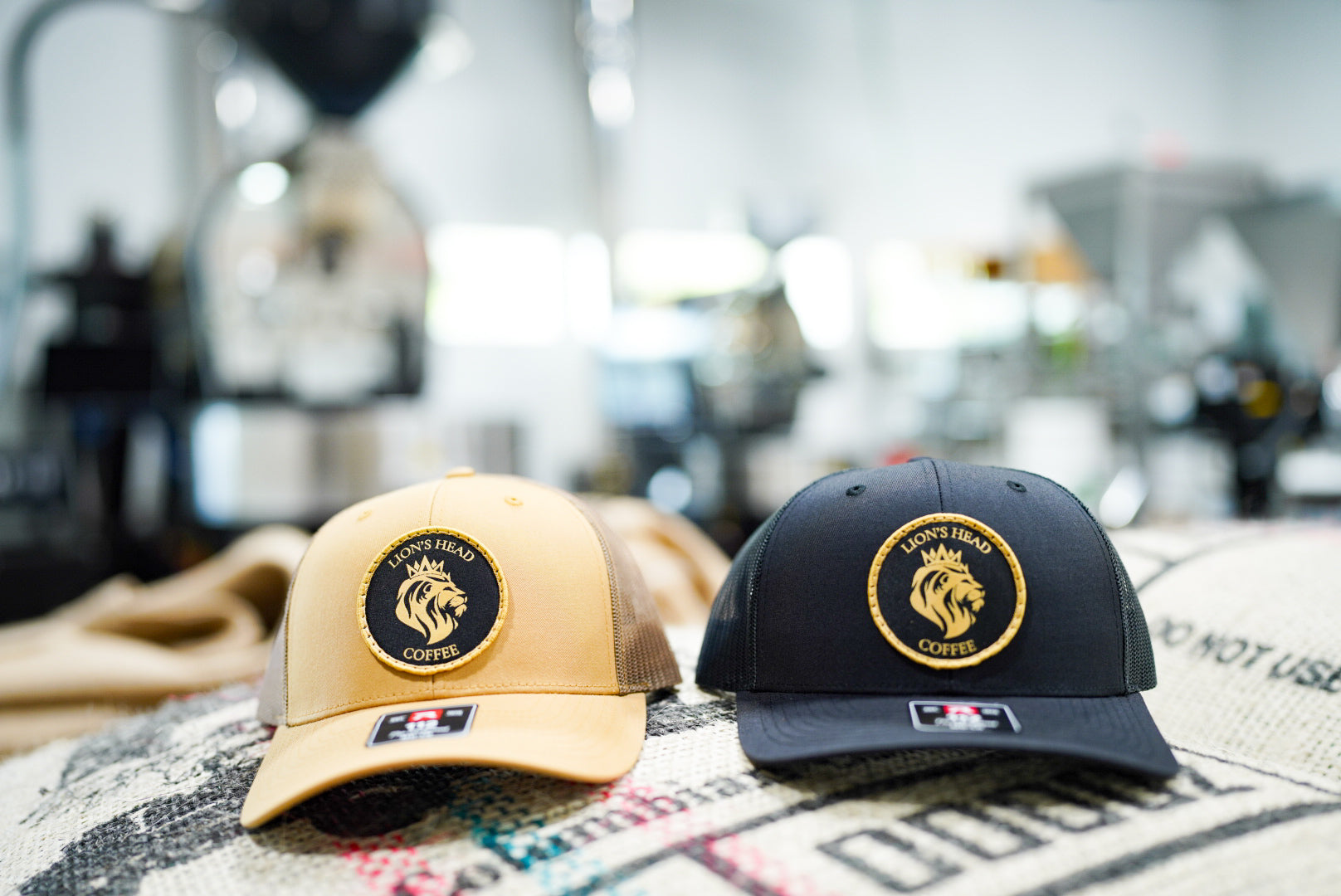 Lion's Head Logo - Curved 112 Hat - BLACK