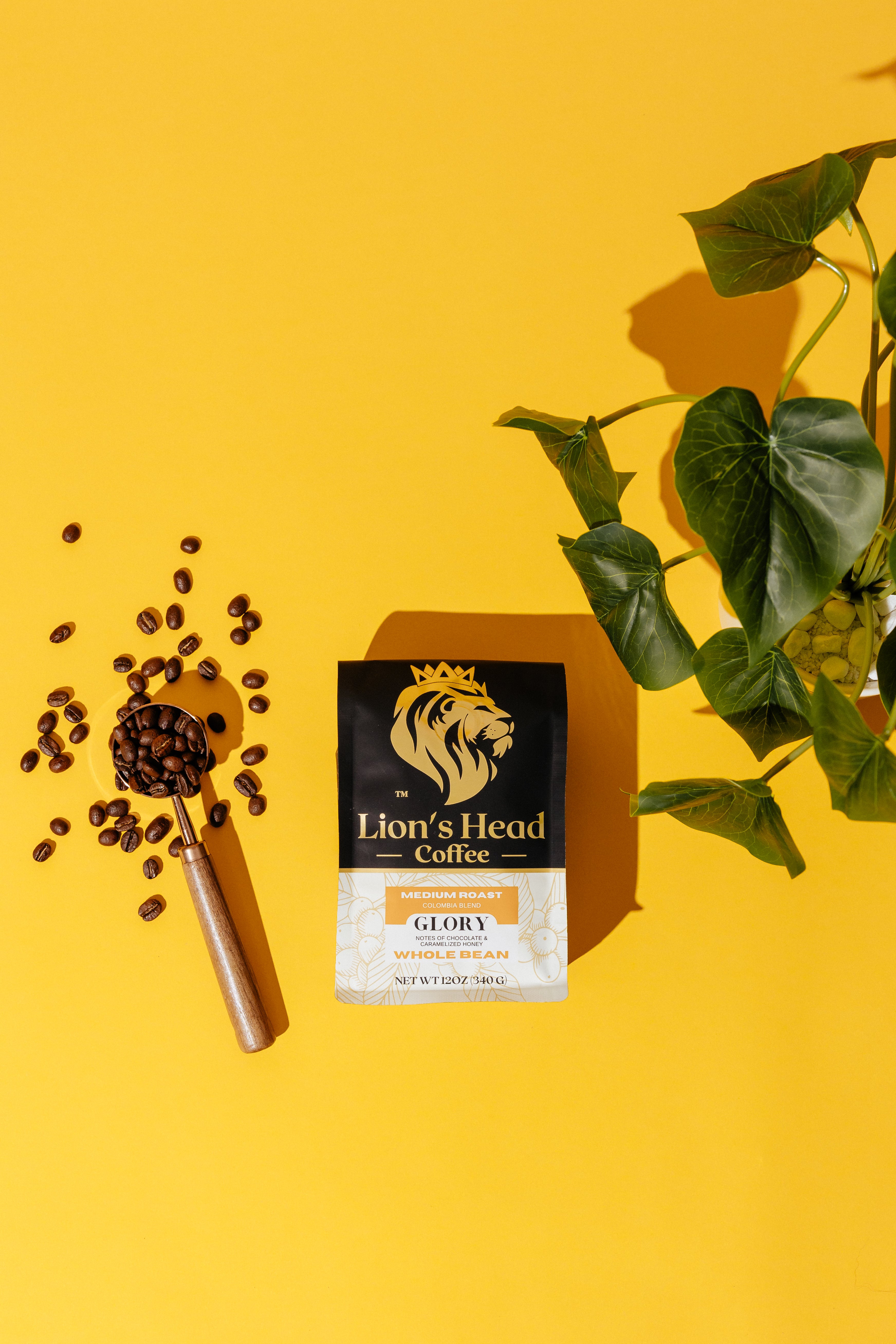 Glory - Chocolate & Caramelized Honey - Medium Roast